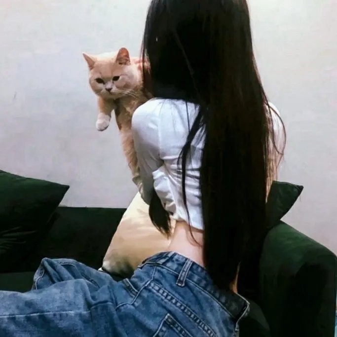 毒枭:墨西哥第二季