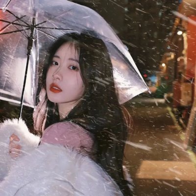 超完美狗保姆